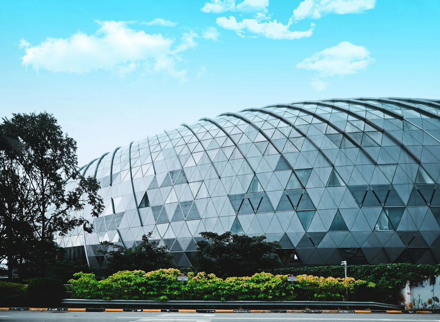 Купол Jewel Changi из треугольных стеклянных панелей